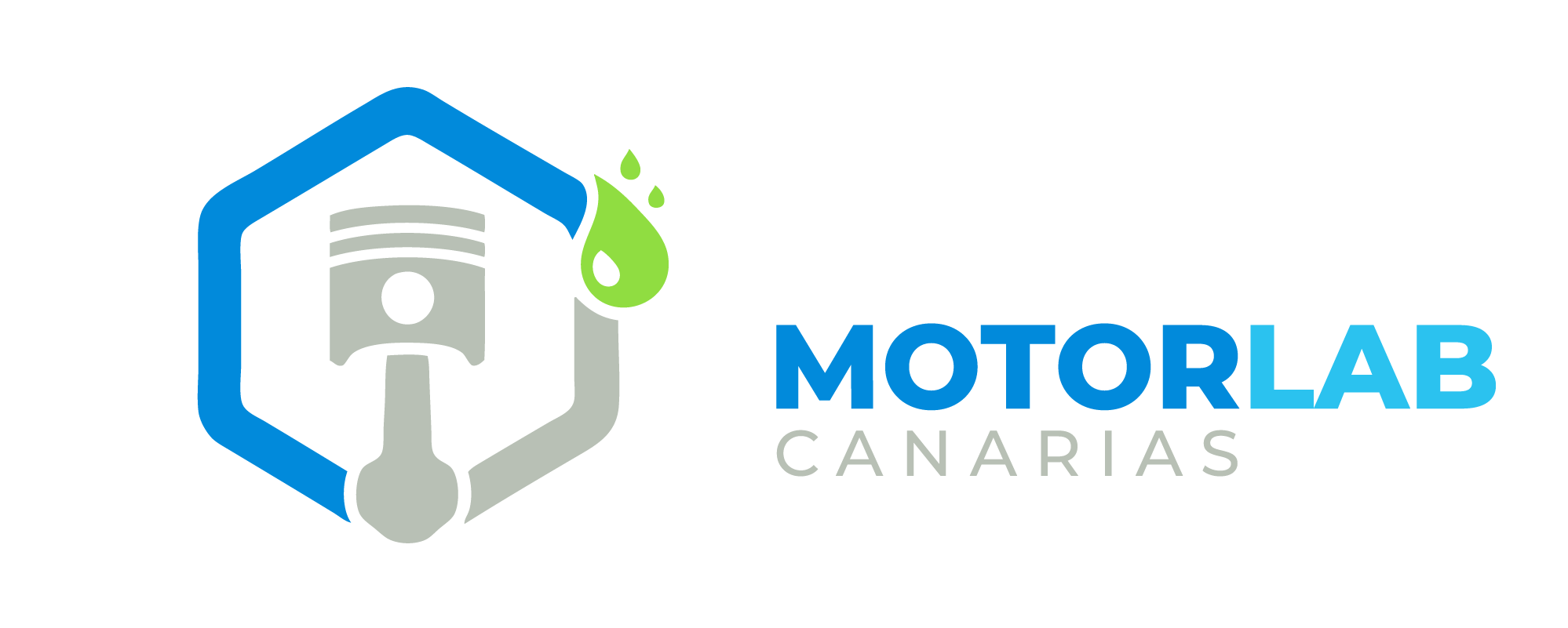 motorlabcanarias.com